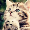 华体会电竞官网｜实时赛事资讯与电竞动态